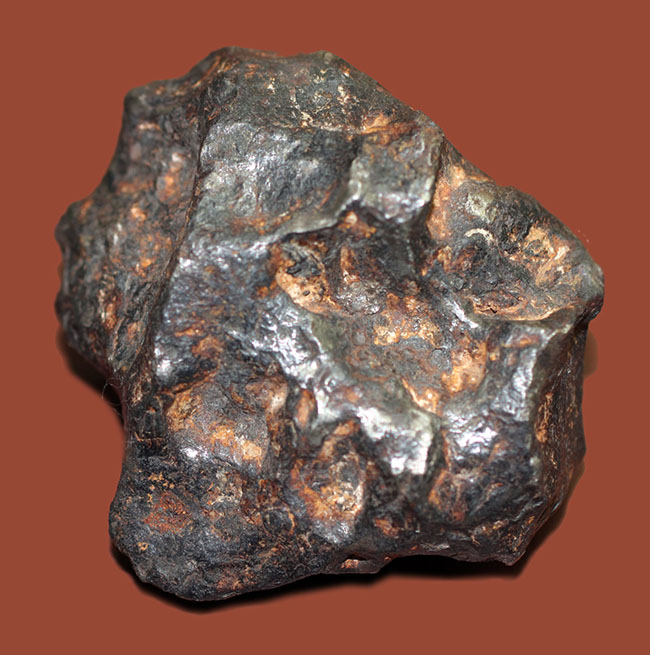 鉄隕石(Iron Meteorite)をコレクションしたい人に朗報!落下地点、落下年不詳ゆえ、お値打ち価格でのご紹介。(その4)