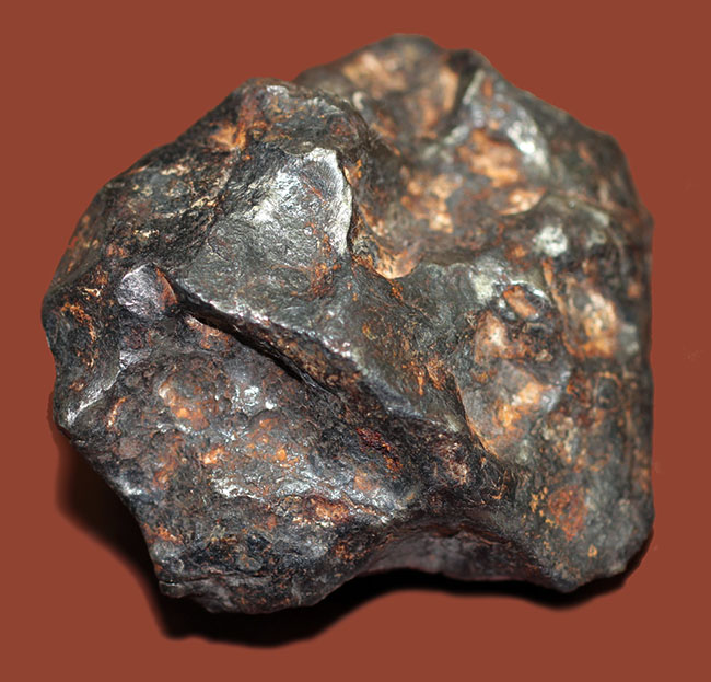 鉄隕石(Iron Meteorite)をコレクションしたい人に朗報!落下地点、落下年不詳ゆえ、お値打ち価格でのご紹介。(その5)
