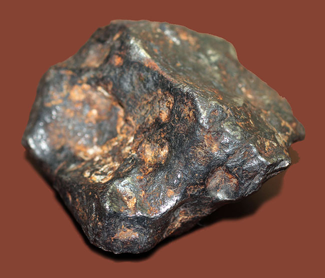 鉄隕石（Iron Meteorite）をコレクションしたい人に朗報！落下地点、落下年不詳ゆえ、お値打ち価格でのご紹介。（その6）