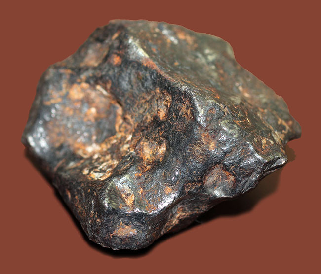 鉄隕石(Iron Meteorite)をコレクションしたい人に朗報!落下地点、落下年不詳ゆえ、お値打ち価格でのご紹介。(その6)