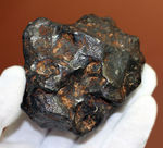 鉄隕石（Iron Meteorite）をコレクションしたい人に朗報！落下地点、落下年不詳ゆえ、お値打ち価格でのご紹介。