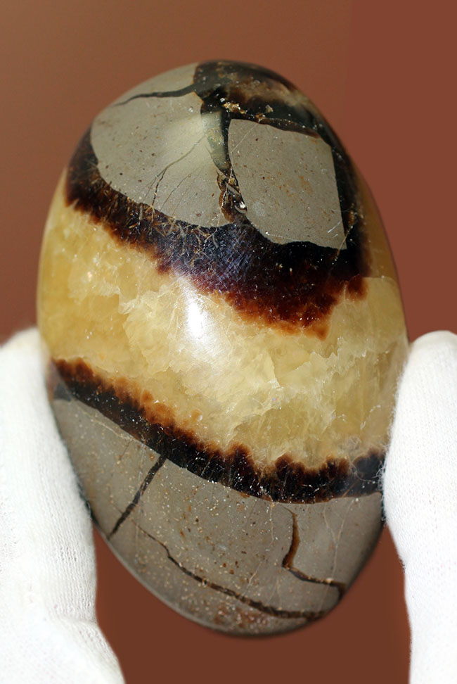 ”上質の”イエローセプタリアン（Septarian）をお探し方におすすめ。方解石の状態が抜群。（その1）