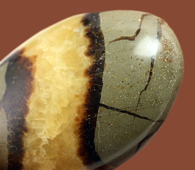 ”上質の”イエローセプタリアン(Septarian)をお探し方におすすめ。方解石の状態が抜群。(その2)