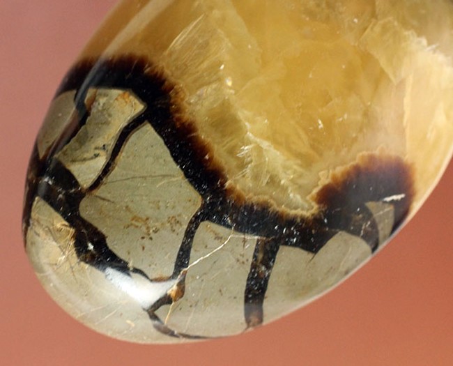 ”上質の”イエローセプタリアン(Septarian)をお探し方におすすめ。方解石の状態が抜群。(その3)
