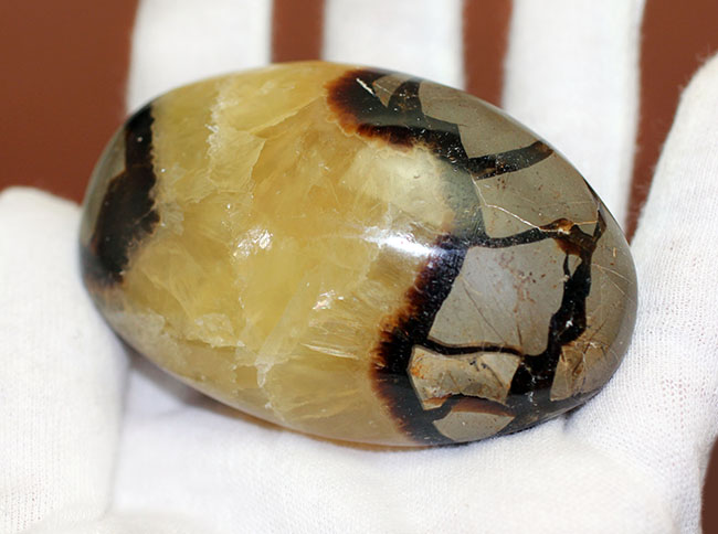 ”上質の”イエローセプタリアン(Septarian)をお探し方におすすめ。方解石の状態が抜群。(その5)