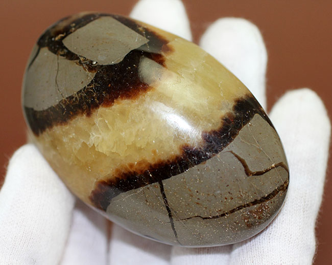”上質の”イエローセプタリアン(Septarian)をお探し方におすすめ。方解石の状態が抜群。(その6)