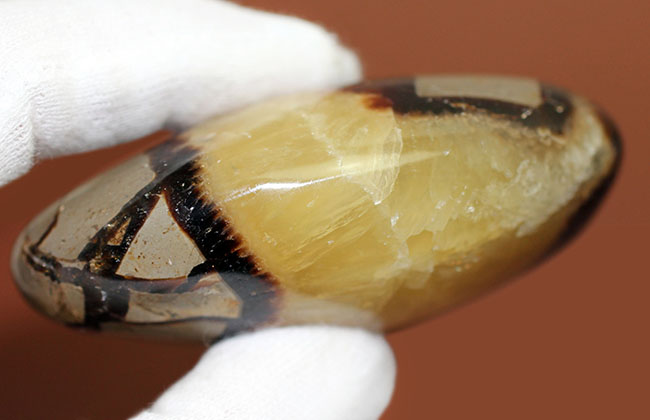 ”上質の”イエローセプタリアン(Septarian)をお探し方におすすめ。方解石の状態が抜群。(その7)