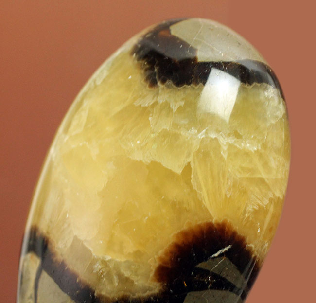 ”上質の”イエローセプタリアン(Septarian)をお探し方におすすめ。方解石の状態が抜群。(その8)