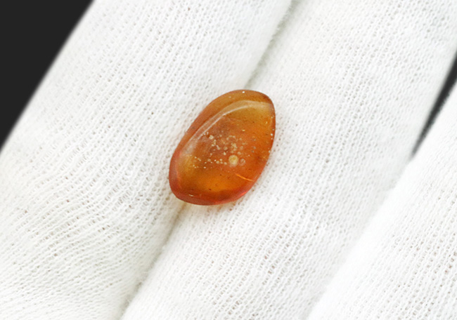 およそ3000万年の歳月をかけてできた宝石!琥珀の名産地、ドミニカから採集された、虫が封じ込められた琥珀(Amber)(その5)