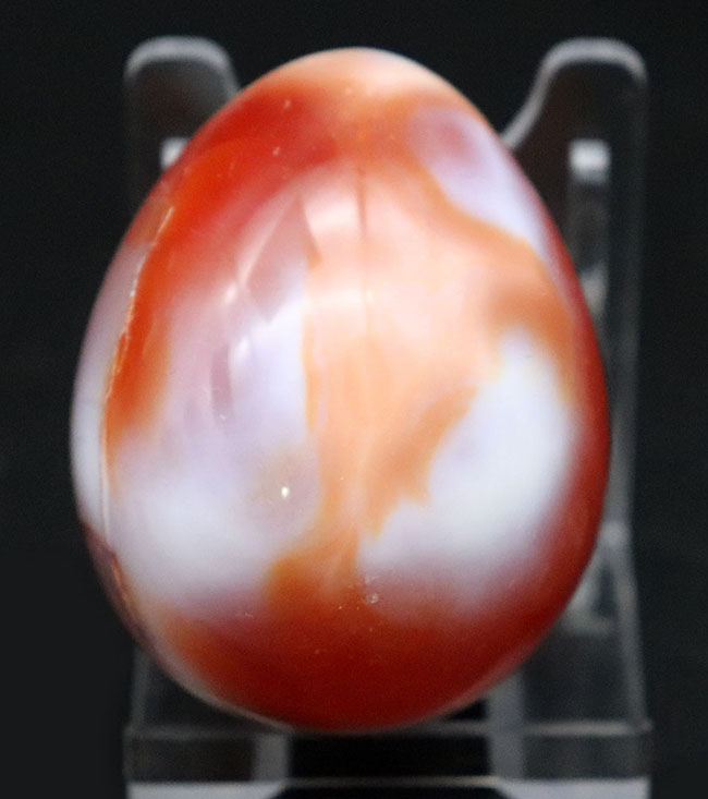 見ているだけで活力が湧いてきそうな濃い赤を呈するカーネリアン、紅玉髄（Carnelian）のカボション（その1）