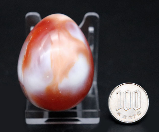 見ているだけで活力が湧いてきそうな濃い赤を呈するカーネリアン、紅玉髄（Carnelian）のカボション（その8）