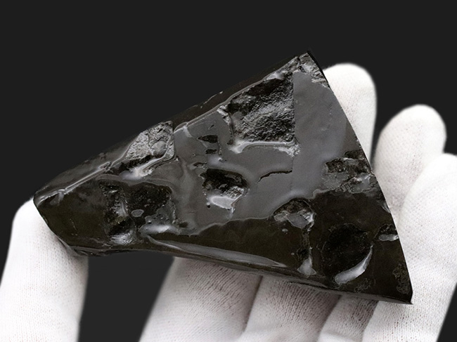グリーンを中心に素晴らしい色を呈する、一級のアンモ”ラ”イト(Ammolite)のピース(その7)