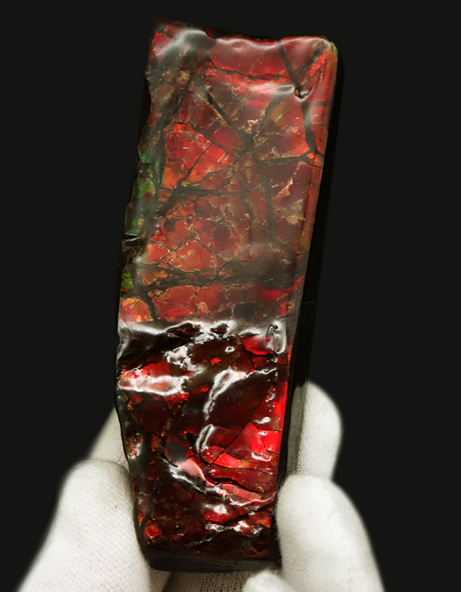 これぞアンモライトと唸りたくなる、濃い赤、８８ミリもある長い標本！宝石、アンモライト（Ammolite）のピース（その1）