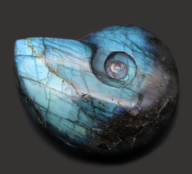 シャレの分かる方に贈る、ユニークな標本、アンモナイトの形にカットされた美しきラブラドライト(Labradorite)のカボション(その1)