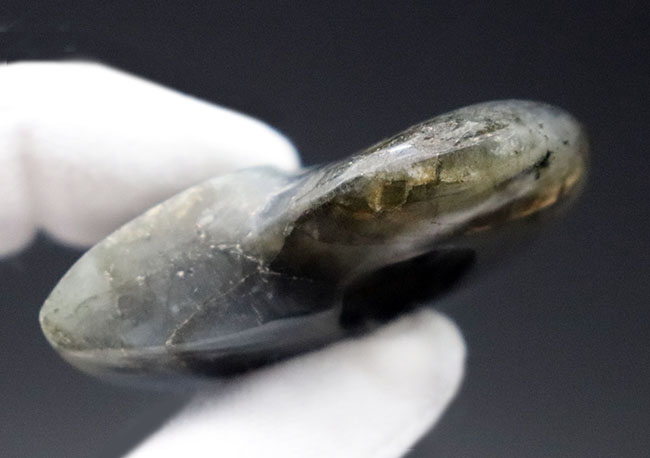 シャレの分かる方に贈る、ユニークな標本、アンモナイトの形にカットされた美しきラブラドライト(Labradorite)のカボション(その10)
