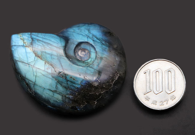 シャレの分かる方に贈る、ユニークな標本、アンモナイトの形にカットされた美しきラブラドライト(Labradorite)のカボション(その11)