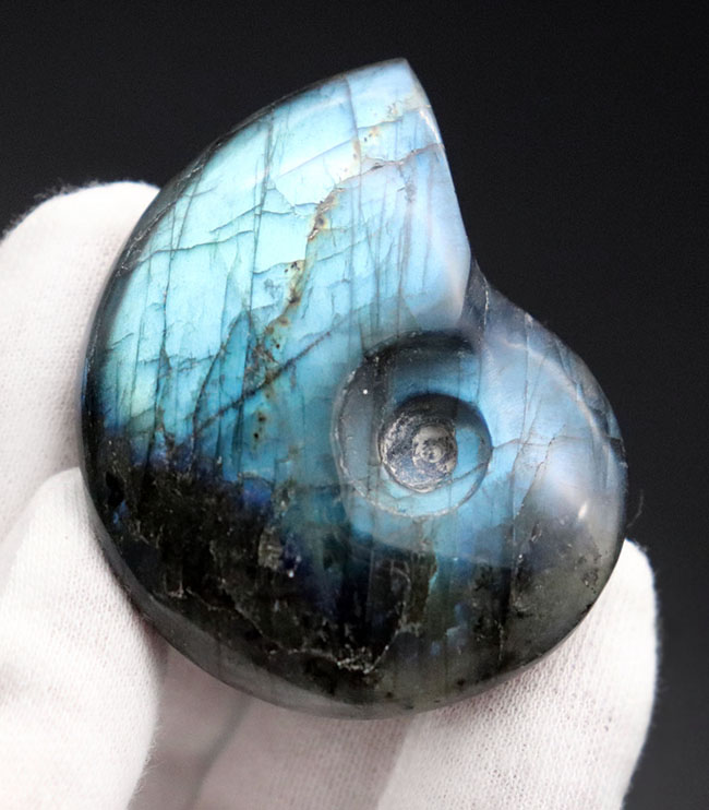 シャレの分かる方に贈る、ユニークな標本、アンモナイトの形にカットされた美しきラブラドライト(Labradorite)のカボション(その2)