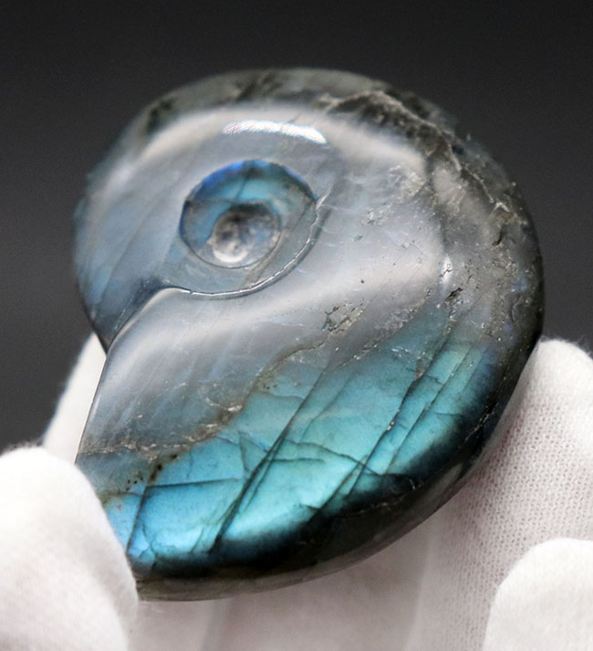 シャレの分かる方に贈る、ユニークな標本、アンモナイトの形にカットされた美しきラブラドライト(Labradorite)のカボション(その3)