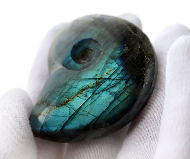 シャレの分かる方に贈る、ユニークな標本、アンモナイトの形にカットされた美しきラブラドライト(Labradorite)のカボション(その5)