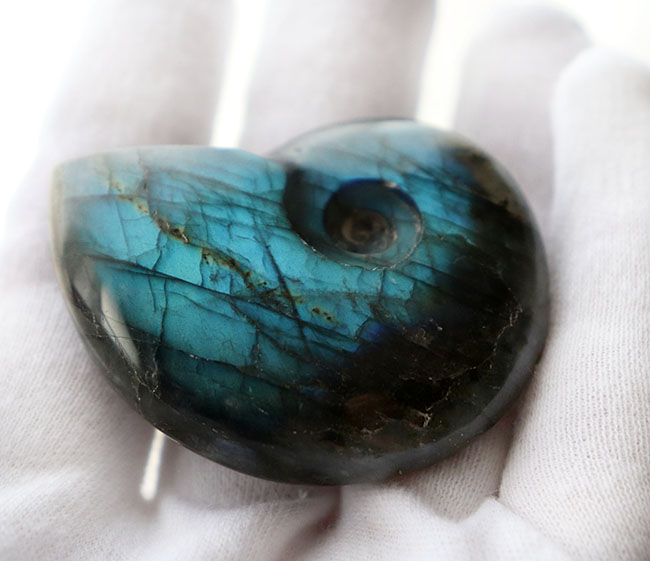 シャレの分かる方に贈る、ユニークな標本、アンモナイトの形にカットされた美しきラブラドライト(Labradorite)のカボション(その6)