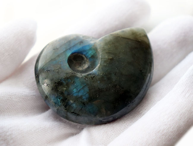 シャレの分かる方に贈る、ユニークな標本、アンモナイトの形にカットされた美しきラブラドライト(Labradorite)のカボション(その8)