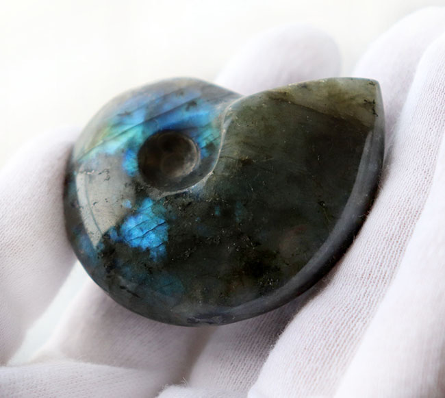 シャレの分かる方に贈る、ユニークな標本、アンモナイトの形にカットされた美しきラブラドライト(Labradorite)のカボション(その9)