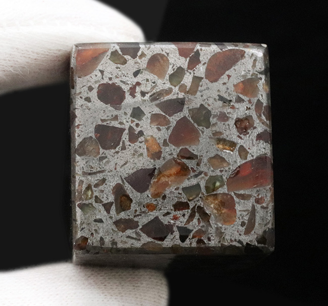 直方体型ならではの、重みを体感せよ！人気のケニア産の美しきパラサイト隕石（その5）