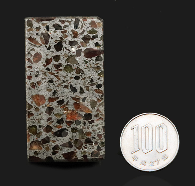直方体型ならではの、重みを体感せよ！人気のケニア産の美しきパラサイト隕石（その7）