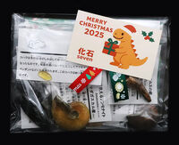 子ども用クリスマスラッピング例