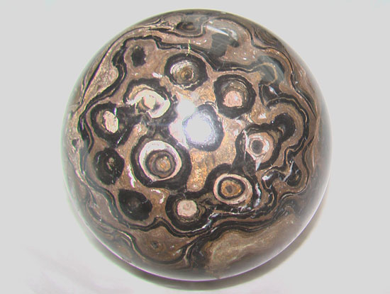 ストロマトライトStromatolite（その3）