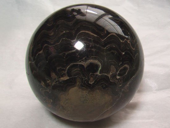 ストロマトライトStromatolite(その1)