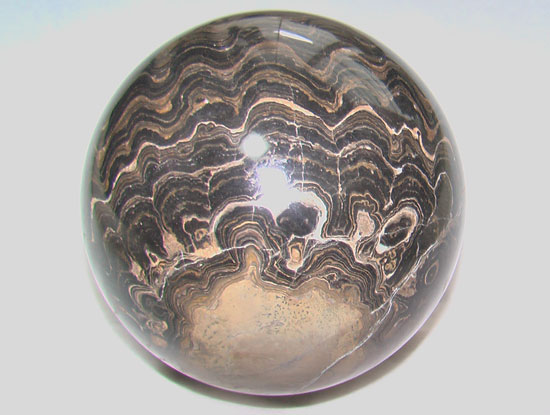 ストロマトライトStromatolite(その3)