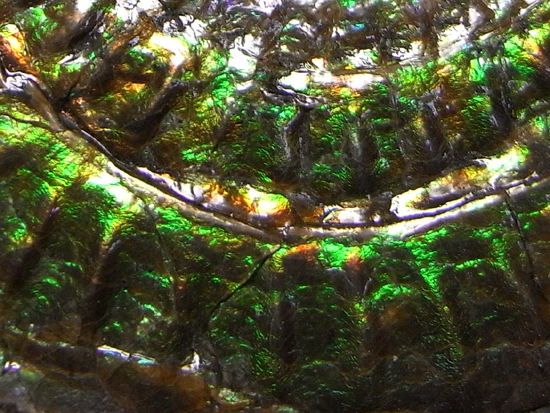 地球が生んだ奇跡：一切加工なしの虹色アンモナイト（その6）