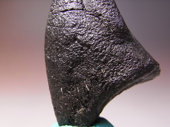 アロサウルス　化石　フットクロウ　恐竜 17年の社史でわずか2点目！恐竜化石コレクター垂涎の逸品…アロサウルス