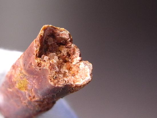 白亜紀の巨大恐竜:レッバキサウルスの保存状態最高の歯(その11)