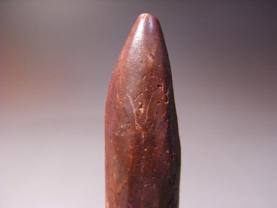白亜紀の巨大恐竜:レッバキサウルスの保存状態最高の歯(その7)