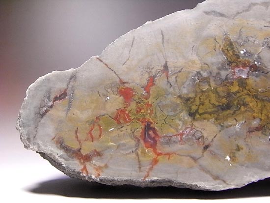 何食ったんだ!?巨大で重い!恐竜のウンチ化石(その10)