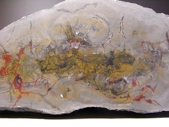 何食ったんだ!?巨大で重い!恐竜のウンチ化石(その11)