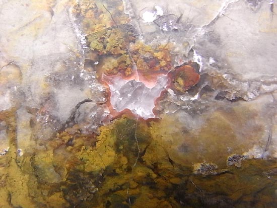 何食ったんだ!?巨大で重い!恐竜のウンチ化石(その15)
