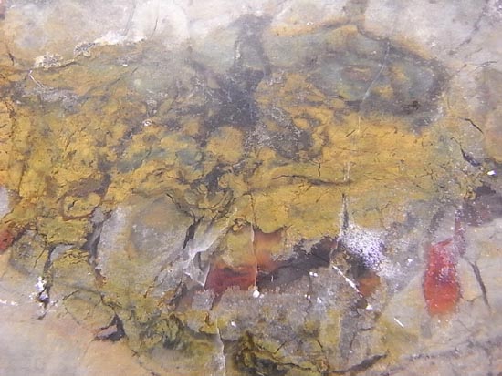 何食ったんだ!?巨大で重い!恐竜のウンチ化石(その16)