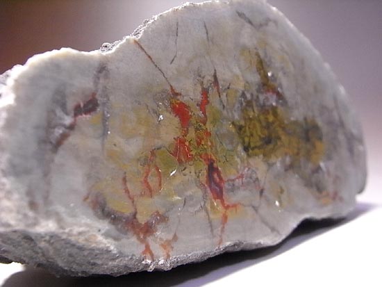 何食ったんだ!?巨大で重い!恐竜のウンチ化石(その3)