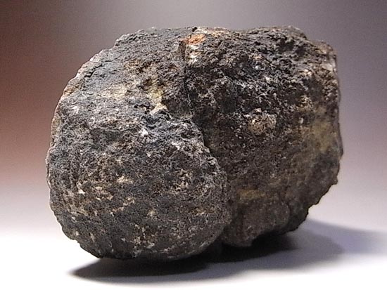 何食ったんだ!?巨大で重い!恐竜のウンチ化石(その6)
