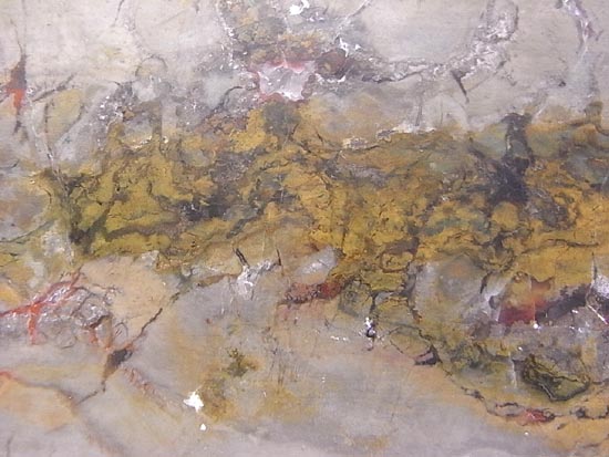 何食ったんだ!?巨大で重い!恐竜のウンチ化石(その8)