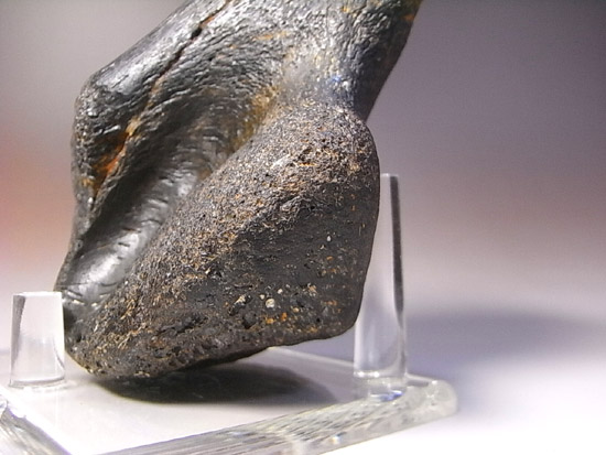世界で初めて発見された恐竜で有名なイグアノドン：上腕骨の化石（その13）