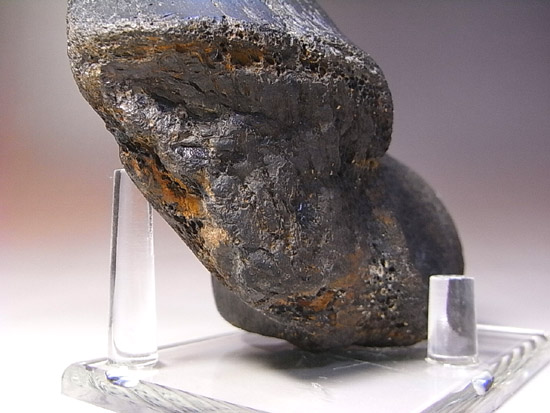 世界で初めて発見された恐竜で有名なイグアノドン：上腕骨の化石（その15）