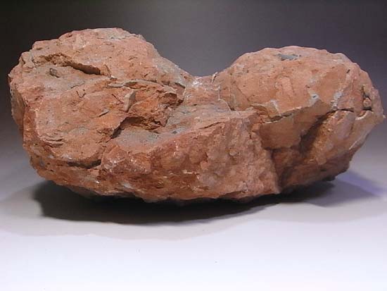 鑑定書付、ヒプセロサウルスの卵化石（その2）