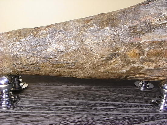 世界最高レベルの品質:トリケラトプスのツノ化石(その6)