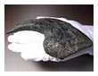 世界最高レベルのアロサウルスのかぎ爪（ハンドクロウ）