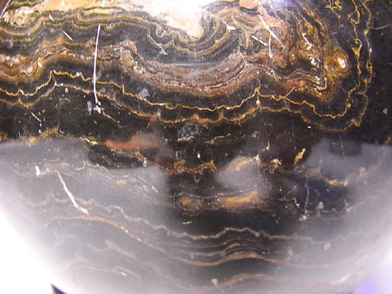 全ての化石の根源!地球に酸素をくれたストロマトライトの化石(その3)