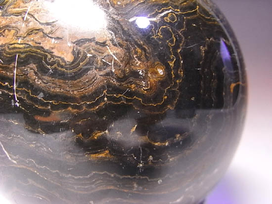 全ての化石の根源!地球に酸素をくれたストロマトライトの化石(その5)